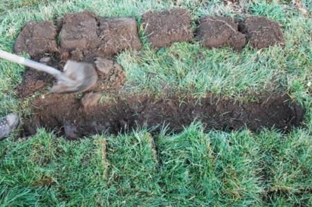 The Most Important Four Inches In Your Garden Image
